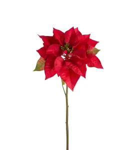 Julstjärna - Röd - 70 cm - www.frokenfraken.se