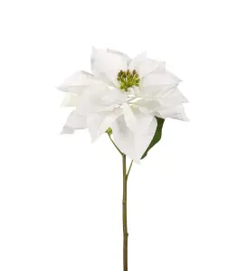 Julstjärna - Vit - 70 cm - www.frokenfraken.se