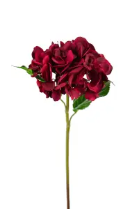 Hortensia - Röd - 55 cm - www.frokenfraken.se