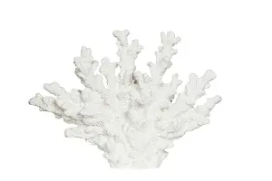 Korall Vit - 26 x 6 x 18,5 cm - www.frokenfraken.se