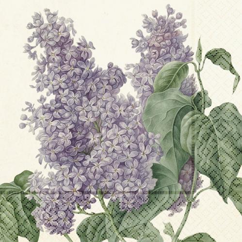 Servett - Syrén - 33 x 33 cm - www.frokenfraken.se