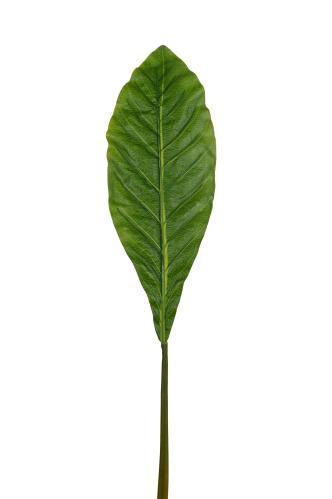 Blad - Grön - 120 cm - www.frokenfraken.se