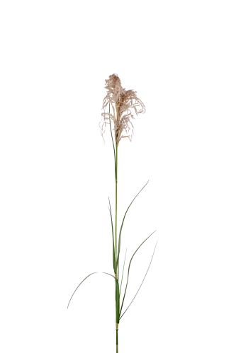 Gräs - Grön - 100 cm - www.frokenfraken.se