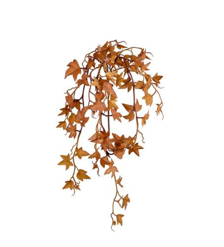 Murgröna - Brun - 60 cm - www.frokenfraken.se