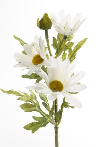 Marguritt - Vit - 32 cm - www.frokenfraken.se