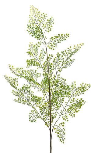 Adiantum blad - Grön - 140 cm - www.frokenfraken.se