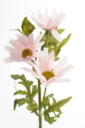 Marguritt - Rosa - 32 cm - www.frokenfraken.se