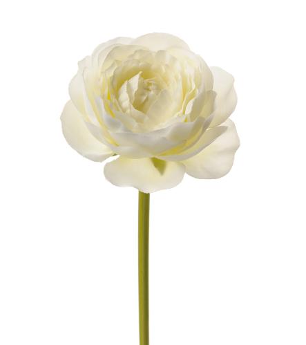 Ranuncel - Vit - 23 cm - www.frokenfraken.se