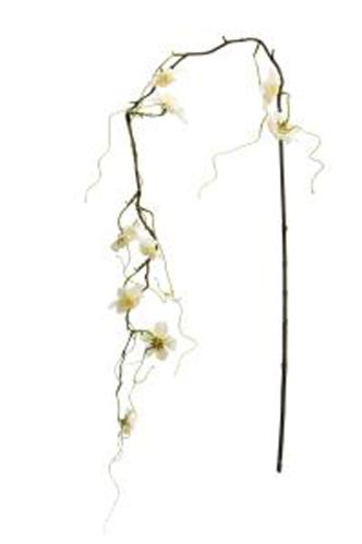 Körsbärsblom - Vit - 135 cm - www.frokenfraken.se