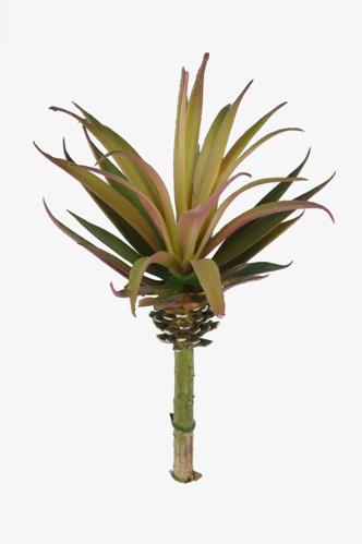 Marginata - Grön - 25 cm - www.frokenfraken.se