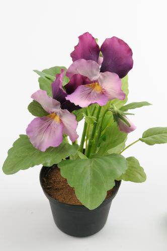 Pensé - Rosa - 23 cm - www.frokenfraken.se