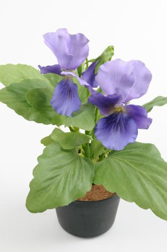 Pensé - Lila - 23 cm - www.frokenfraken.se