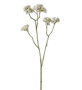 Blomkvist - Vit - 80 cm - www.frokenfraken.se