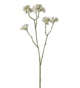 Blomkvist - Vit - 80 cm - www.frokenfraken.se