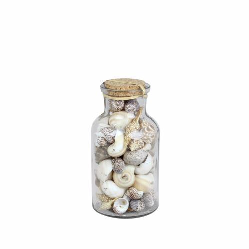 Snäckor i glasburk - Dekoration - 16 x Ø9 cm - www.frokenfraken.se