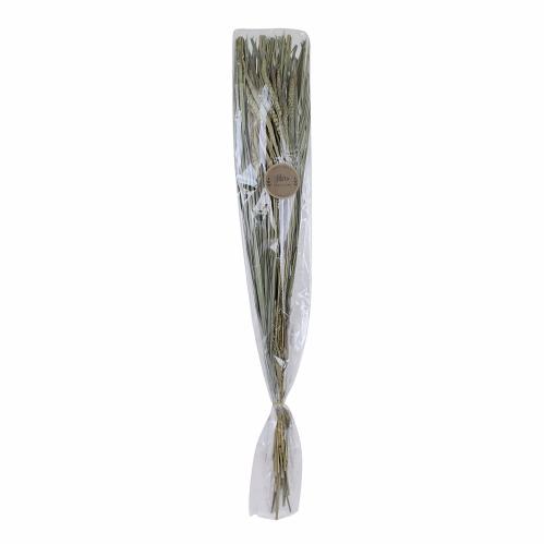 Torkad bukett - Hirs - 55 cm - www.frokenfraken.se