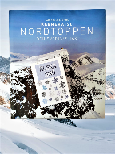 Kortspel - Älska snö - www.frokenfraken.se