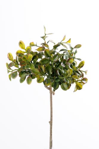 Lingonris kvist - Grön - 20 cm - www.frokenfraken.se