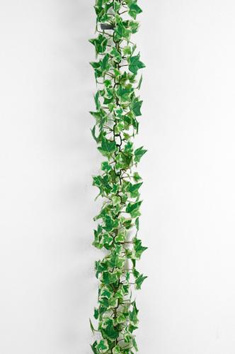 Murgröna - Grön - 180 cm - www.frokenfraken.se