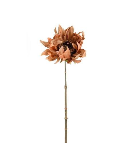 Solros - Brun - 60 cm - www.frokenfraken.se