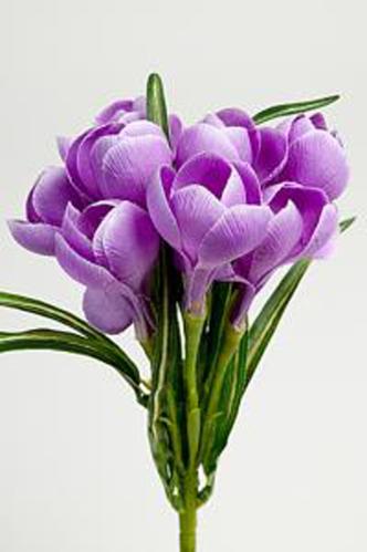 Crocus - Lila - 25 cm - www.frokenfraken.se