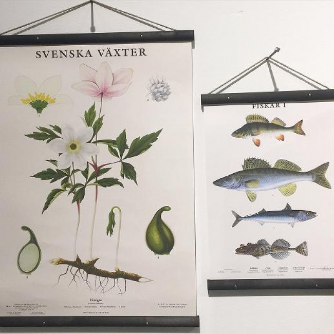 Kryddväxter Poster 50x70 cm